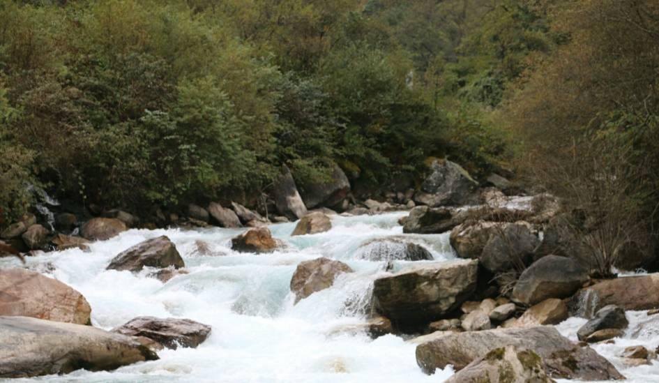 省高水平编制村庄规划专题培训在镇举办
